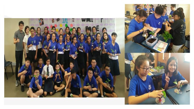 Students in blue uniforms pose holding small plants, with separate photos showing them potting and handling seedlings.